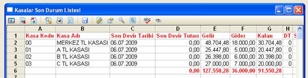 netsis muhasebe fatura modülü