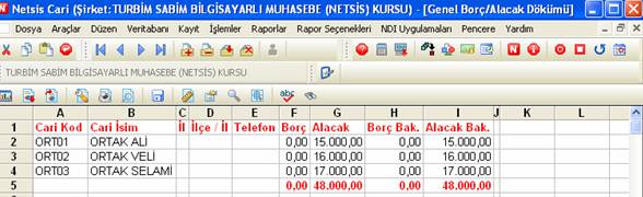 netsis