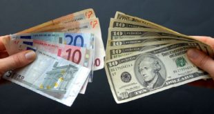 son 10 yılın dolar euro kurları