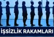 işsizlik ve istihdam rakamları